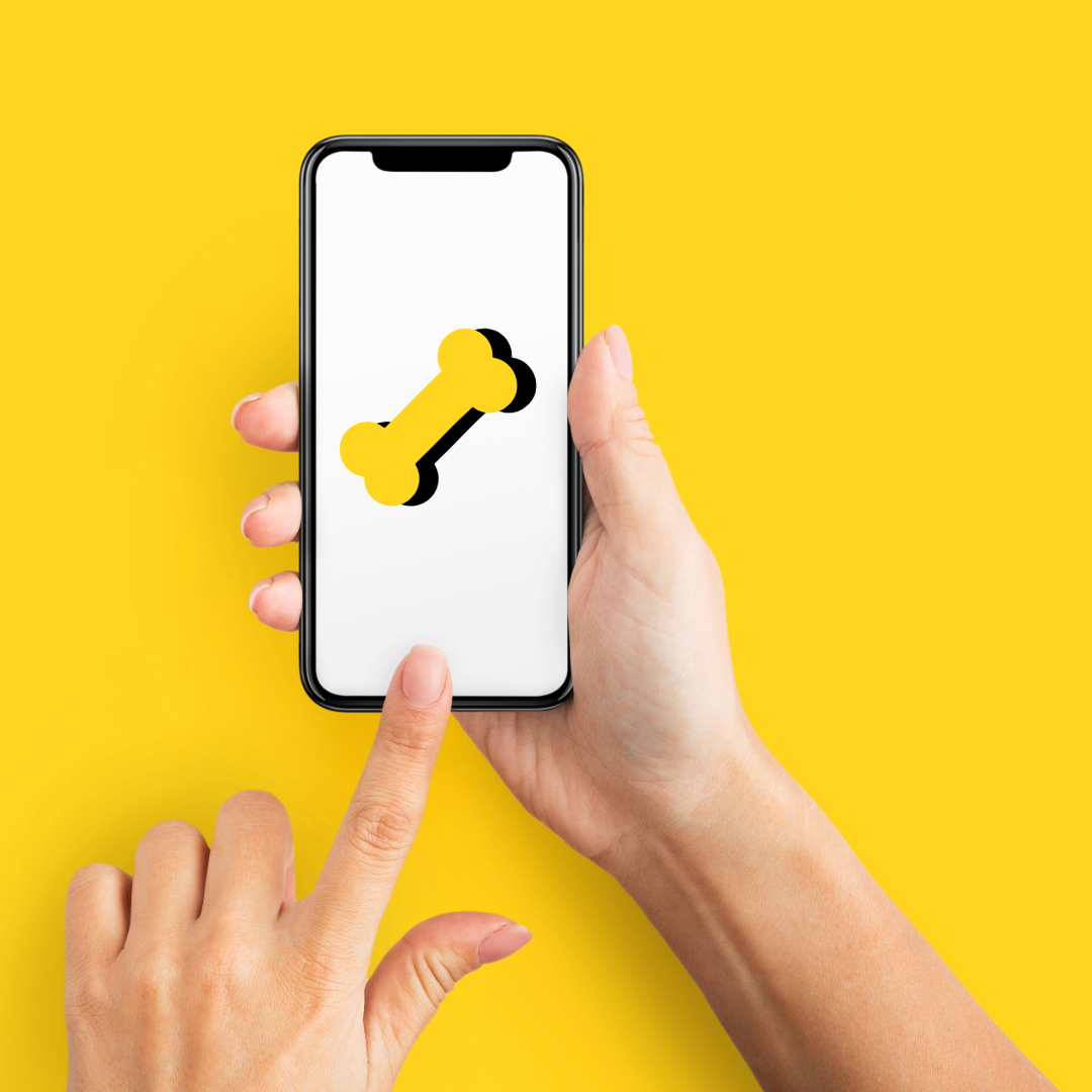 "Moderne Hunde-Apps, die das Leben von Hund und Halter revolutionieren. Entdecke innovative Apps für ein besseres Hundeleben! #HundeApps #Tierfreund #Hundeliebe